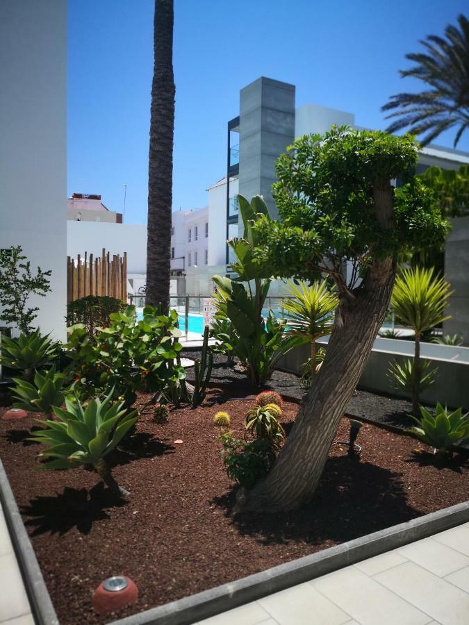 Appartement Vista Bristol 50B Corralejo Esterno foto