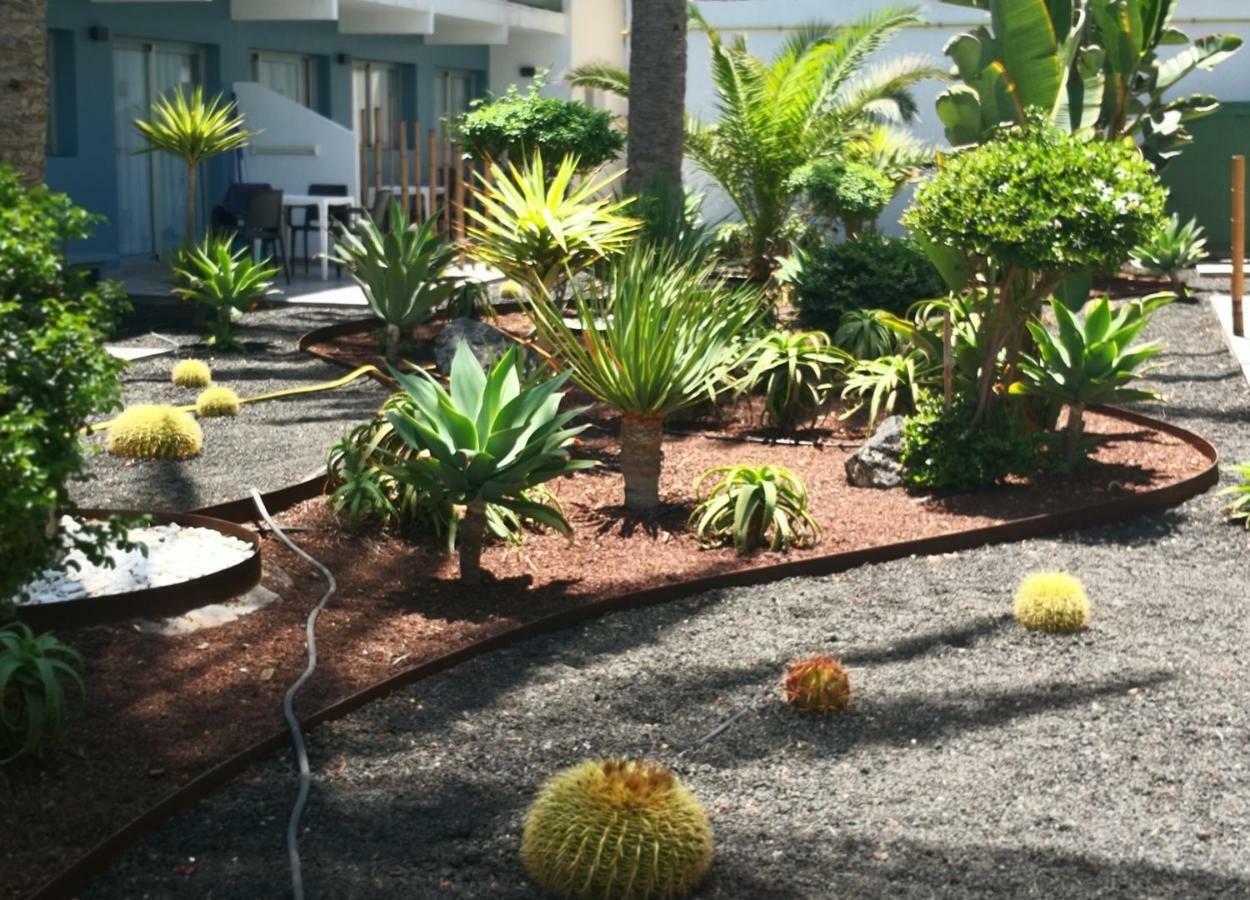 Appartement Vista Bristol 50B Corralejo Esterno foto